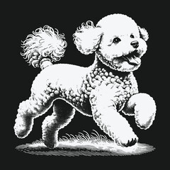 Playful Poodle Illustration: A Charming Canine Companion in Motion.
