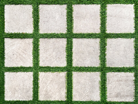 Close up of white paving stone tiles in square grid pattern with green grass growing separating the square paving stone. For landscape garden floor and footpath. Seamless background texture.