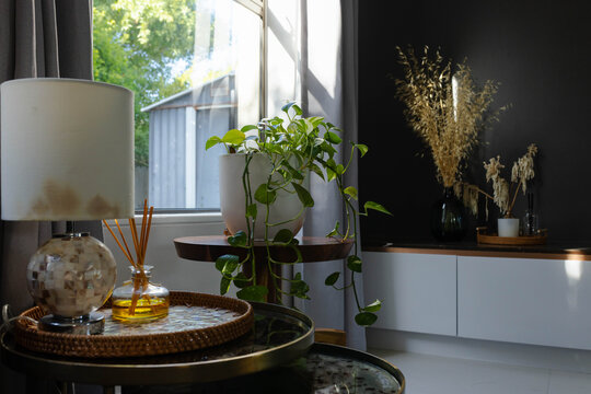 Potted pothos plant is cascading vines on round wooden side table by window, with diffuser