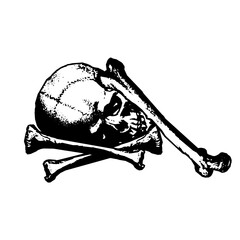 Obraz premium Skull and crossed bones skull with bones 