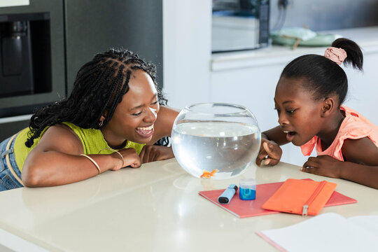 African American female mother and child leaning over fishbowl in kitchen, pointing at goldfish
