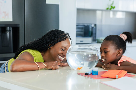African female mother and child leaning over kitchen island watching goldfish bowl and pencil case