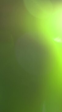 Patterned Vertical Flashing Light Bokeh Transition, Bright Neon Green Abstract Light Patterns In Motion. perfect for tech background