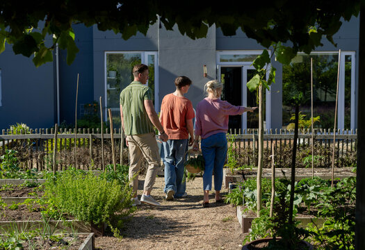African American family walking along gravel path in home garden, teenage son carrying woven basket