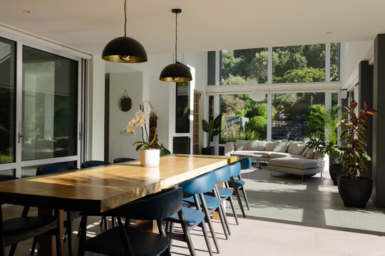 Long wooden dining table is holding white potted orchid, with blue chairs near tall windows