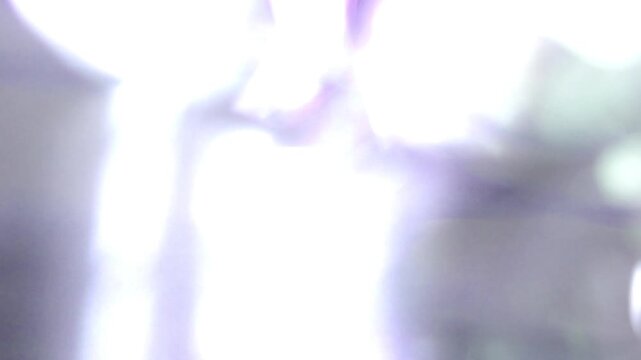 Trailing Flashing Light Bokeh Transition, Bright Abstract Light Trails Move Across Frame. great for speed effect