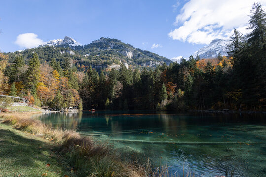 Lago alpino de &aacute;guas turquesa cristalinas refletindo montanhas rochosas com picos nevados ao fundo, cercado por floresta densa de con&iacute;feras e &aacute;rvores caducif&oacute;lias com folhagem outonal em tons vibrante