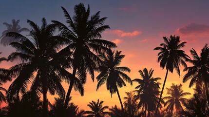 Obraz premium Sunset Palm Serenity: The silhouette of palm trees stand against a vibrant sunset sky, creating a tranquil scene. This image evokes feelings of relaxation and the beauty of nature.
