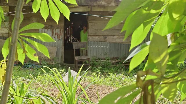 Male farmer coming out of a wooden house carrying work tools with cassava leaves foreground