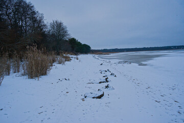  Punakivi, snow covered V&auml;&auml;na-J&otilde;esuu beach along the frozen gulf of Finland in Winter, Estonia 
