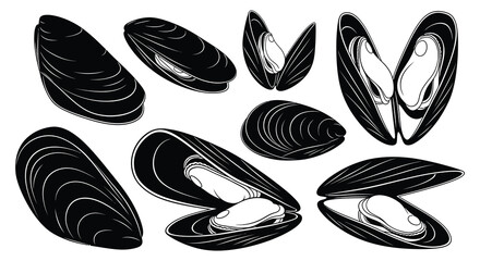 A collection of black and white mussel shells are displayed in various orientations some open and some closed © VoDesign02