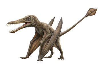 Fototapeta premium Rhamphorhynchus pterosaur flying reptile isolated. Prehistoric creature 3d render.