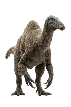 Deinocheirus dinosaur with duck bill isolated. Strange feathered creature.