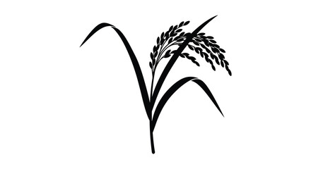 A minimalist black and white illustration depicts a stem of rice showcasing its leaves and grain heads high quality professional detailed