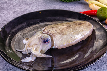 Raw fresh brown wild cuttlefish