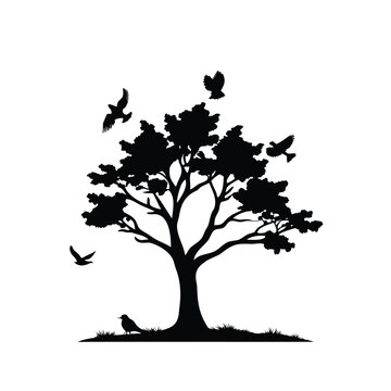 tree with birds at sunset silhouette vector illustration, Silhouette of a tree with birds in a peaceful nature scene vector illustration