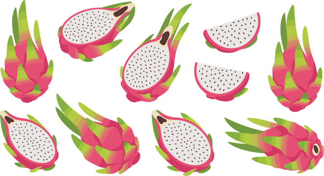 Set of fresh dragon fruit pitaya vector illustrations featuring whole fruits half slices and quarters isolated on white background for tropical food and healthy eating design