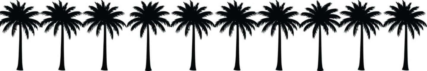 Fototapeta premium Palm tree silhouettes, tropical icons, beach vacation design, summer paradise artwork, exotic nature elements, black white graphics - flat vector illustration