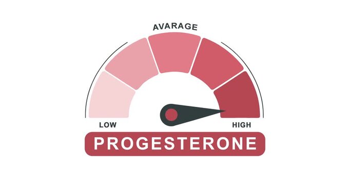 Progesterone Level Meter Animation: Low, Average, and High Hormone Gauge Indicator 