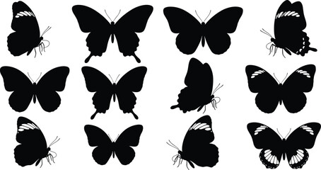 Fototapeta premium Butterfly silhouettes collection set, various wing shapes isolated on white background vector