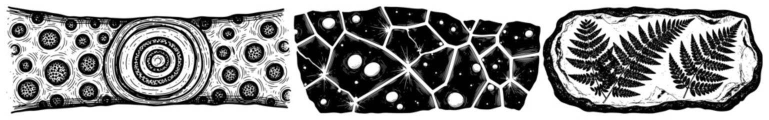 Set of three prehistoric fossil textures featuring tree rings stone and fern © Cristiano