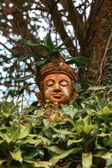 Obraz premium Buddha face in the bushes, in Thailand