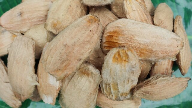 Sundried Mango seeds. Aam ki guthli sun dried. Dry Mango seeds