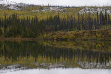 Wide shot of a calm lake mirroring a boreal forest with autumn colors, burned trees, and snow-dusted hills under an overcast sky. Ideal for environmental and travel themes.