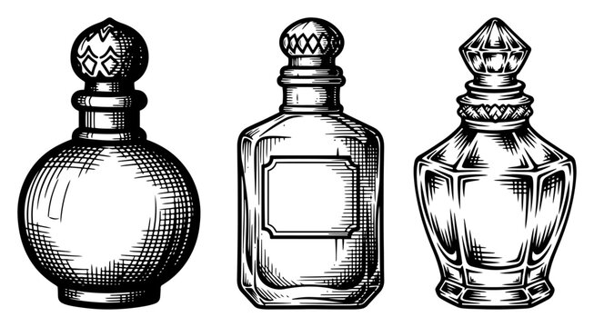 Set of vintage perfume bottles and glass decanters in elegant hand drawn engraving style