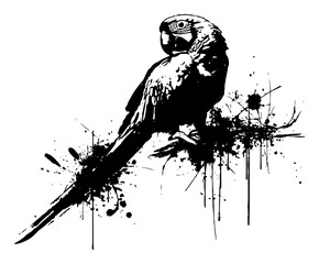 Beautiful parrot macaw bird sitting on a branch in grunge ink style © UrbanDruid
