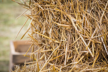 Bales of hay or straw. Background or wallpaper texture © ratmaner