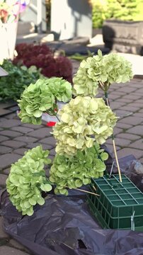 The decorator inserts green hydrangea into an oasis and creates a wedding flower arrangement in pink, purple and green tones. romantic wedding flower arch