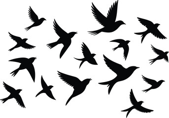 Obraz premium Flying bird silhouette collection in dynamic wing positions, black solid vector illustration of birds in flight isolated on light background