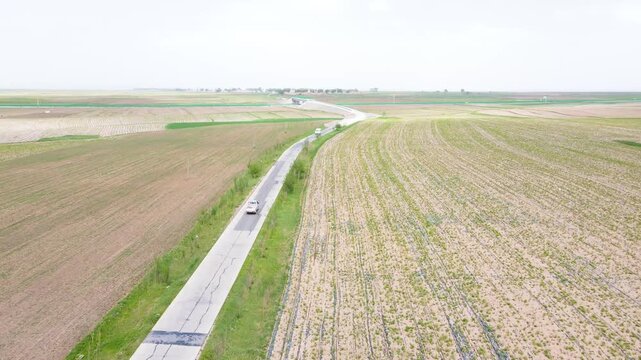 Aerial Agricultural Fields With Straight Road and Crop Rows