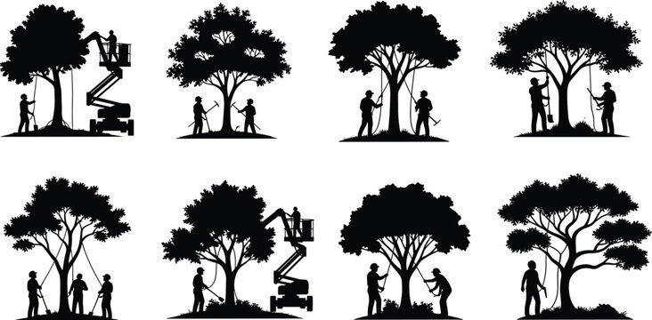 Black silhouettes of professional arborists trimming trees with aerial lifts and hand tools for forestry maintenance landscaping services for design.