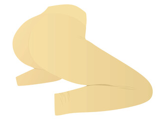 Brown tight pants leggings. vector illustration