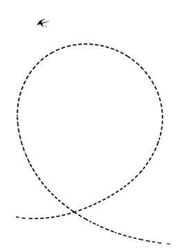 An illustration features a small bird in flight above a dashed-line looping path, suggesting a dynamic movement against white