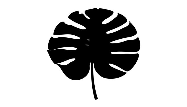 Black and white illustration of a monstera leaf, with its distinctive holes and a simple, minimalistic design