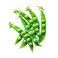 Fresh Green Peas in Pods Cluster Closeup isolated on a transparent background