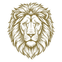Obraz premium A detailed golden line drawing of a lion's head with a majestic mane and intense gaze, rendered in a classic illustrative style with bold lines and shading, isolated on white background