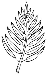 Obraz premium Minimalist Line Art Leaf of Palm Tree, Isolated on White Background