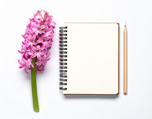 Naklejka premium Aerial view of a blank spiral notebook with pencil alongside a vibrant pink hyacinth flower on a white surface 