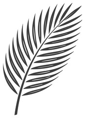 Obraz premium Stylized Vector Illustration of a Single Palm Frond with Minimalist Lines