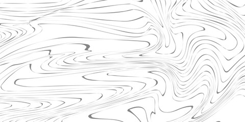 Topography background. Vector banner. Topography map background. Vector geographic contour map. Background of the topographic map. © moh