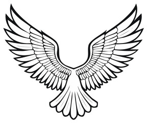 Fototapeta premium Stylized outline of spread eagle wings and tail feathers isolated on white background vector