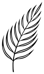 Fototapeta premium Elegant Outline Drawing of a Single Palm Frond in a Minimalist Style