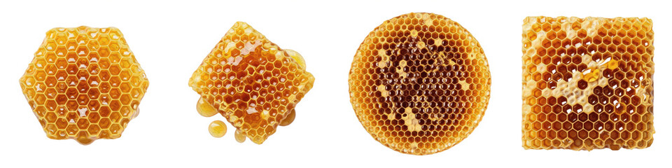 Premium Raw Honeycomb Collection, Natural Bee Honey Combs in Various Shapes, Organic Sweet Hive Nectar Isolated on White Background PNG © prootice