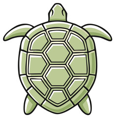 Fototapeta premium Cartoon turtle illustration in green and white with a detailed shell