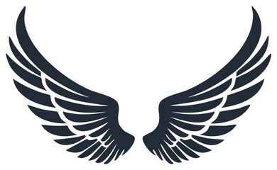 Obraz premium Symmetrical open wing symbol design, stylized vector illustration with dark feather elements.