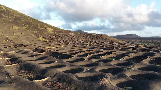 La Geria volcanic vineyards unique Lanzarote landscape